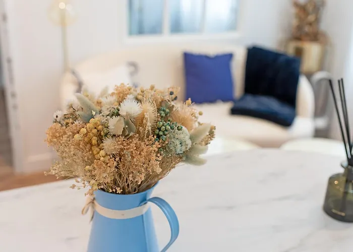 Apartament Le Sapphire Tuluza